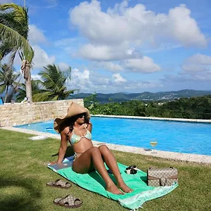 https://art-retreat-studio-adventures.greaterantilleshotels.net